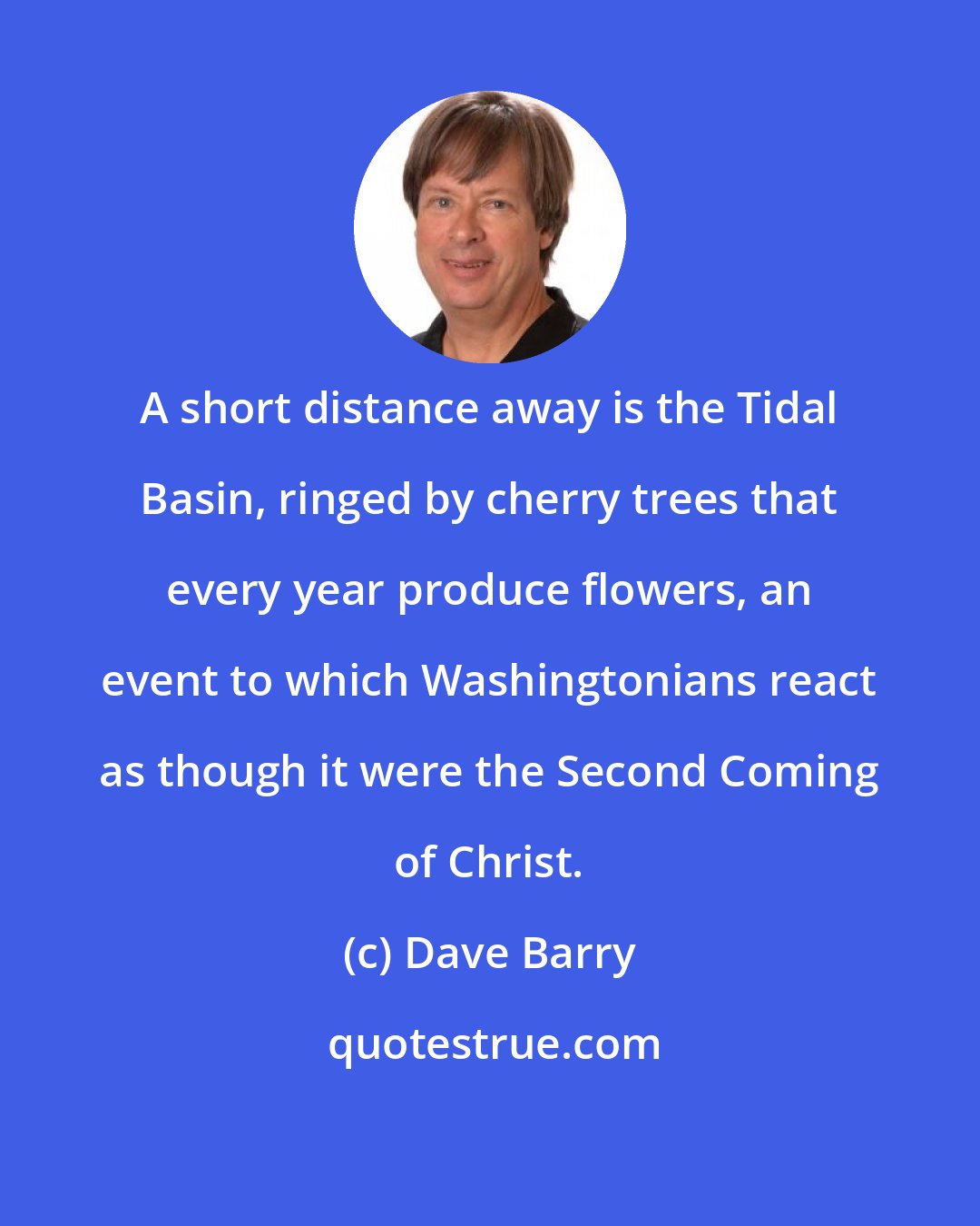 Dave Barry: A short distance away is the Tidal Basin, ringed by cherry trees that every year produce flowers, an event to which Washingtonians react as though it were the Second Coming of Christ.