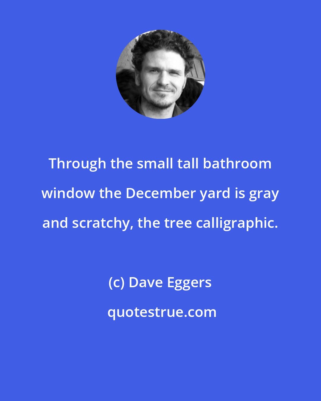 Dave Eggers: Through the small tall bathroom window the December yard is gray and scratchy, the tree calligraphic.