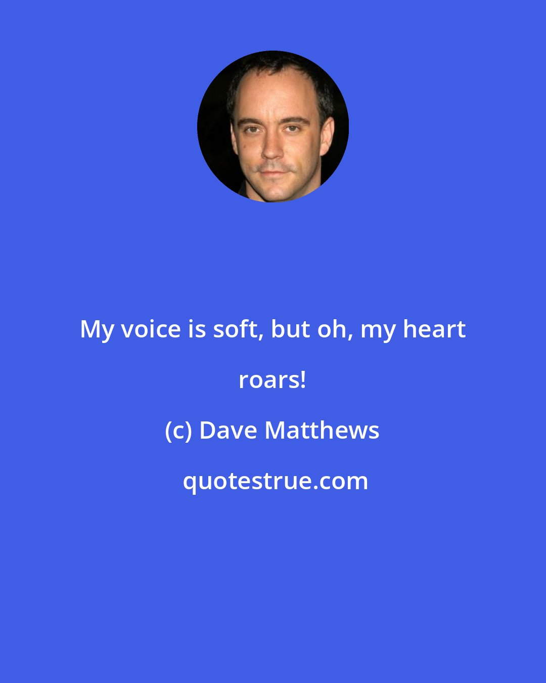 Dave Matthews: My voice is soft, but oh, my heart roars!