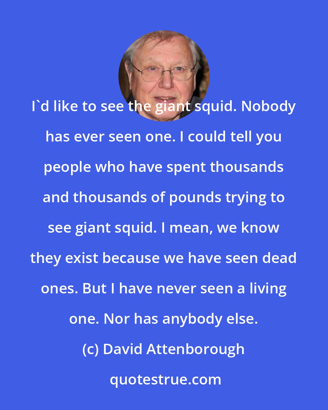 David Attenborough: I'd like to see the giant squid. Nobody has ever seen one. I could tell you people who have spent thousands and thousands of pounds trying to see giant squid. I mean, we know they exist because we have seen dead ones. But I have never seen a living one. Nor has anybody else.