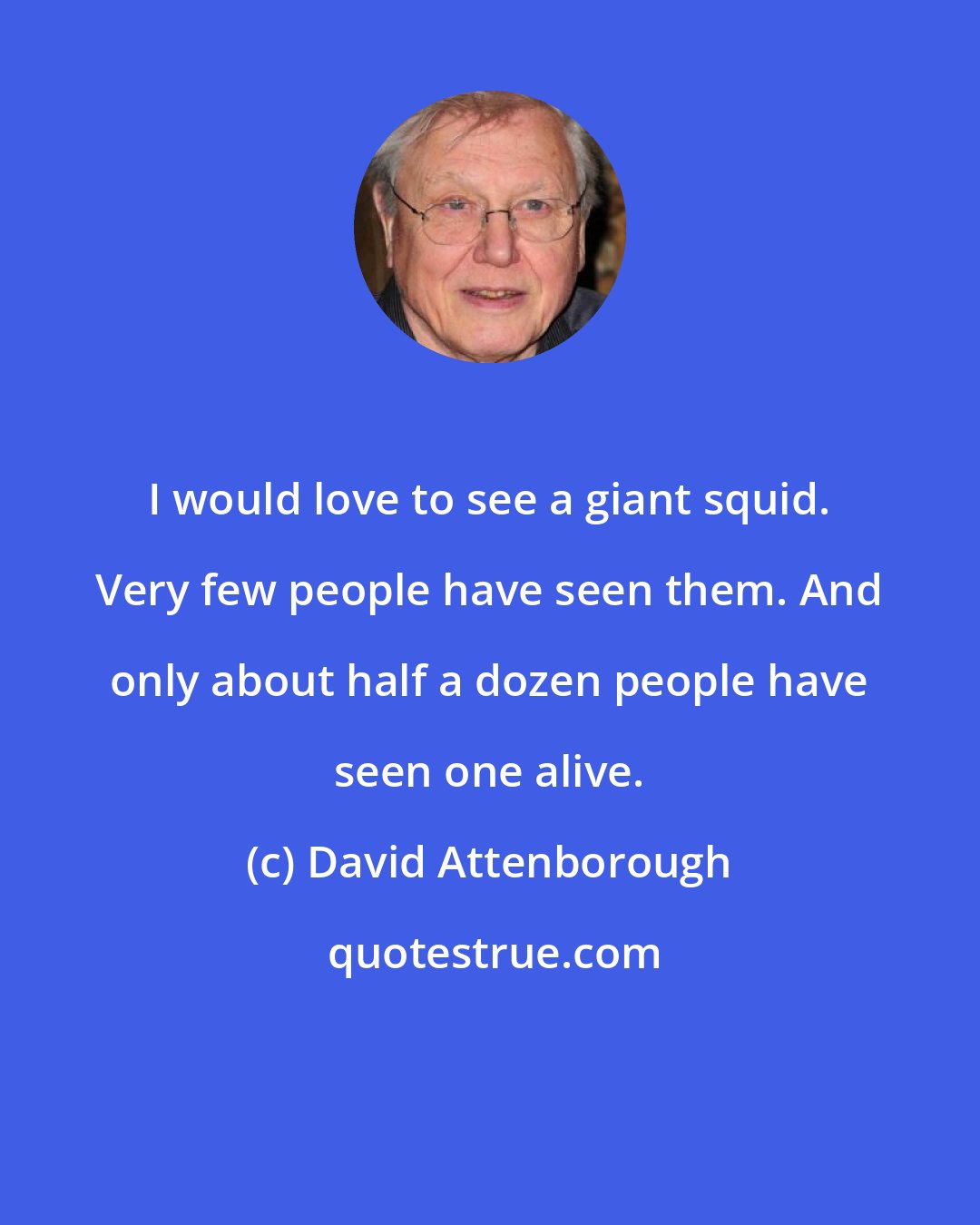 David Attenborough: I would love to see a giant squid. Very few people have seen them. And only about half a dozen people have seen one alive.