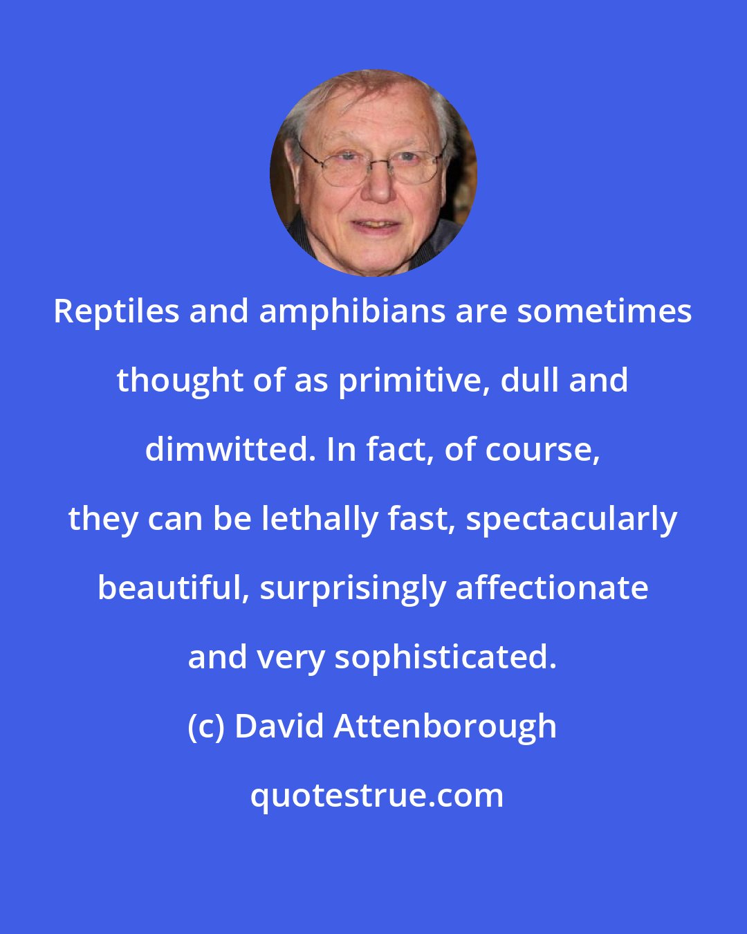David Attenborough: Reptiles and amphibians are sometimes thought of as primitive, dull and dimwitted. In fact, of course, they can be lethally fast, spectacularly beautiful, surprisingly affectionate and very sophisticated.