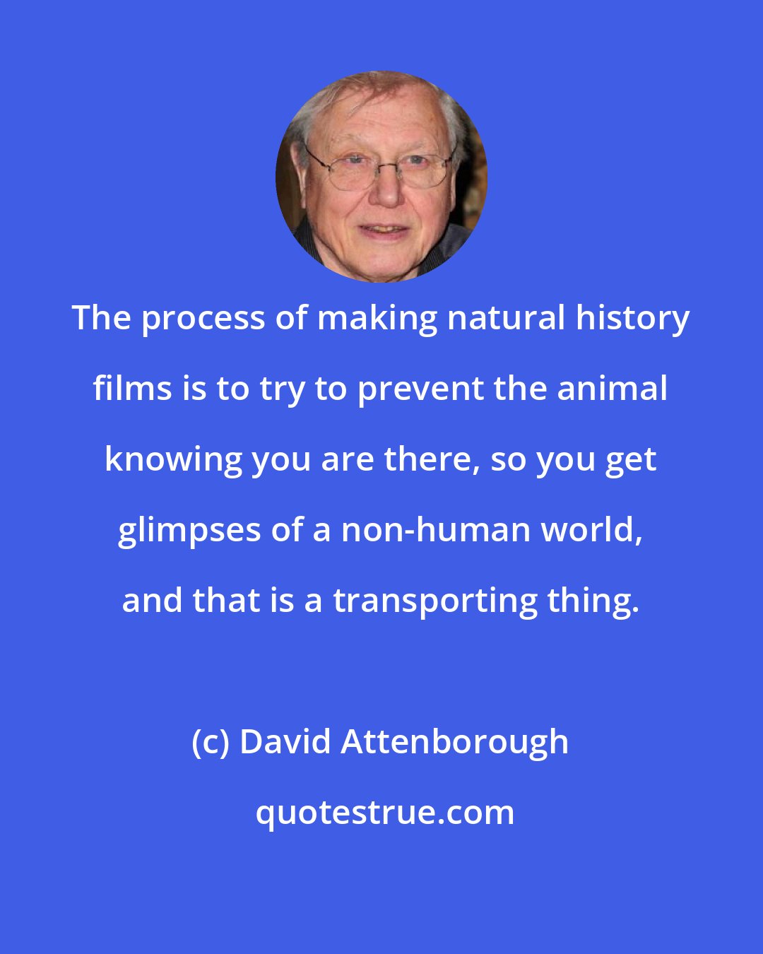 David Attenborough: The process of making natural history films is to try to prevent the animal knowing you are there, so you get glimpses of a non-human world, and that is a transporting thing.