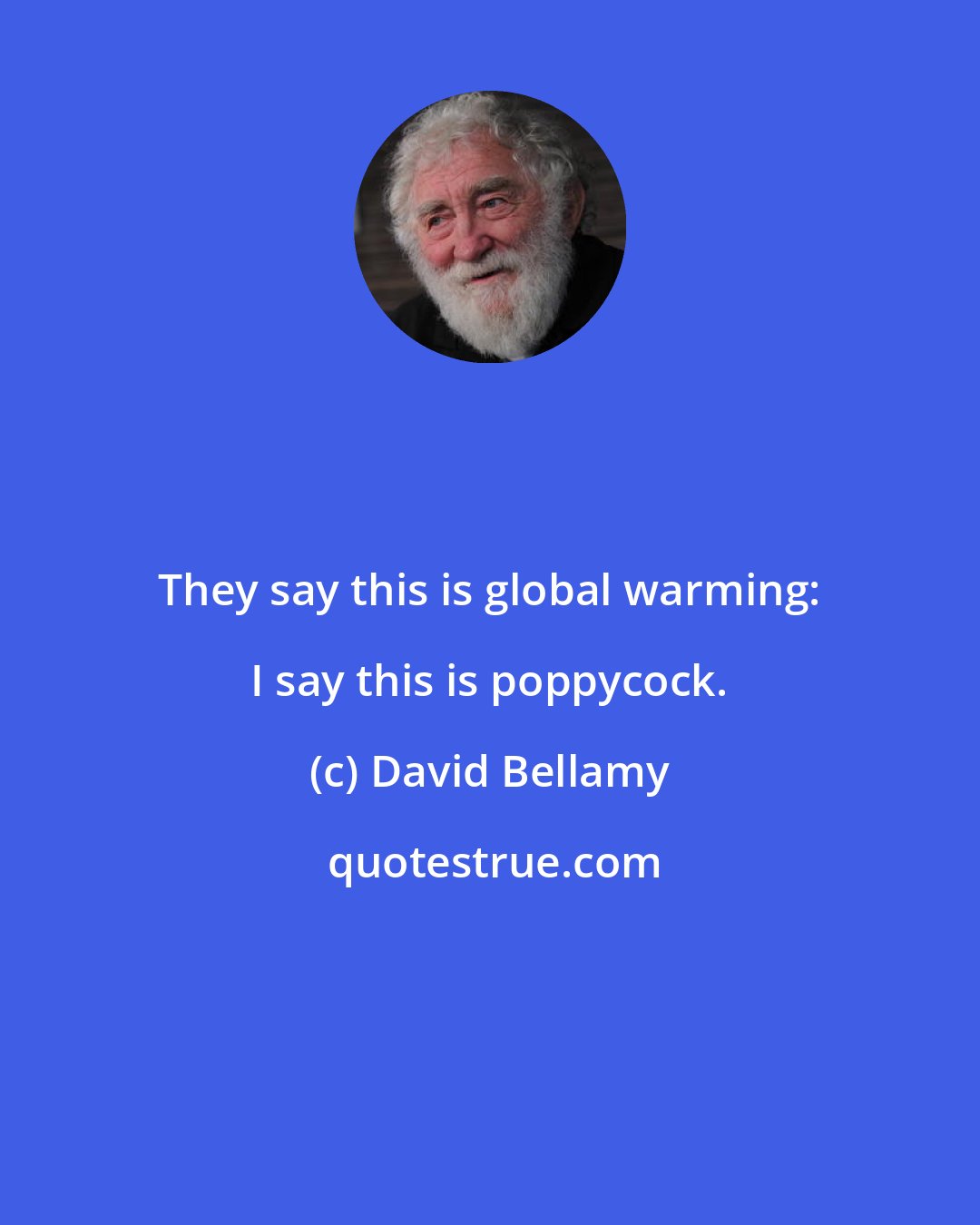 David Bellamy: They say this is global warming: I say this is poppycock.
