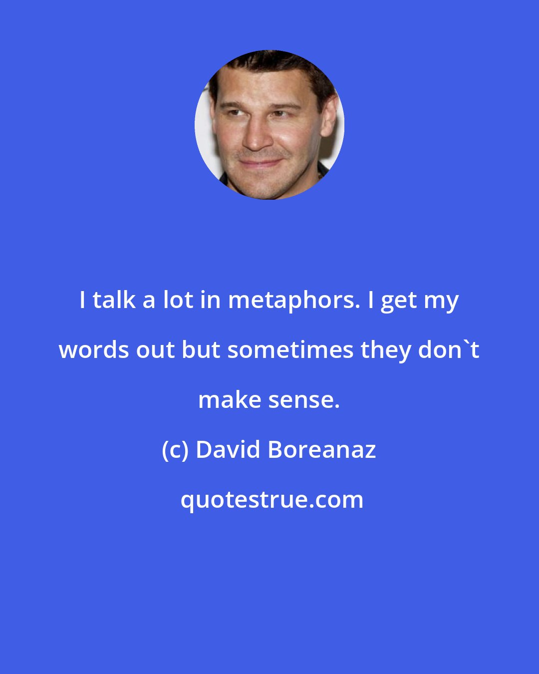 David Boreanaz: I talk a lot in metaphors. I get my words out but sometimes they don't make sense.