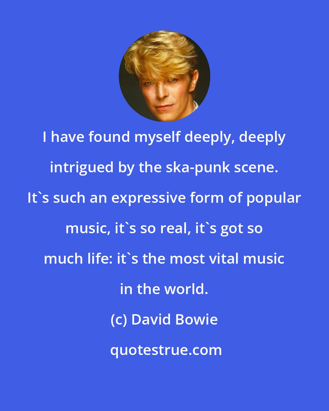 David Bowie: I have found myself deeply, deeply intrigued by the ska-punk scene. It's such an expressive form of popular music, it's so real, it's got so much life: it's the most vital music in the world.