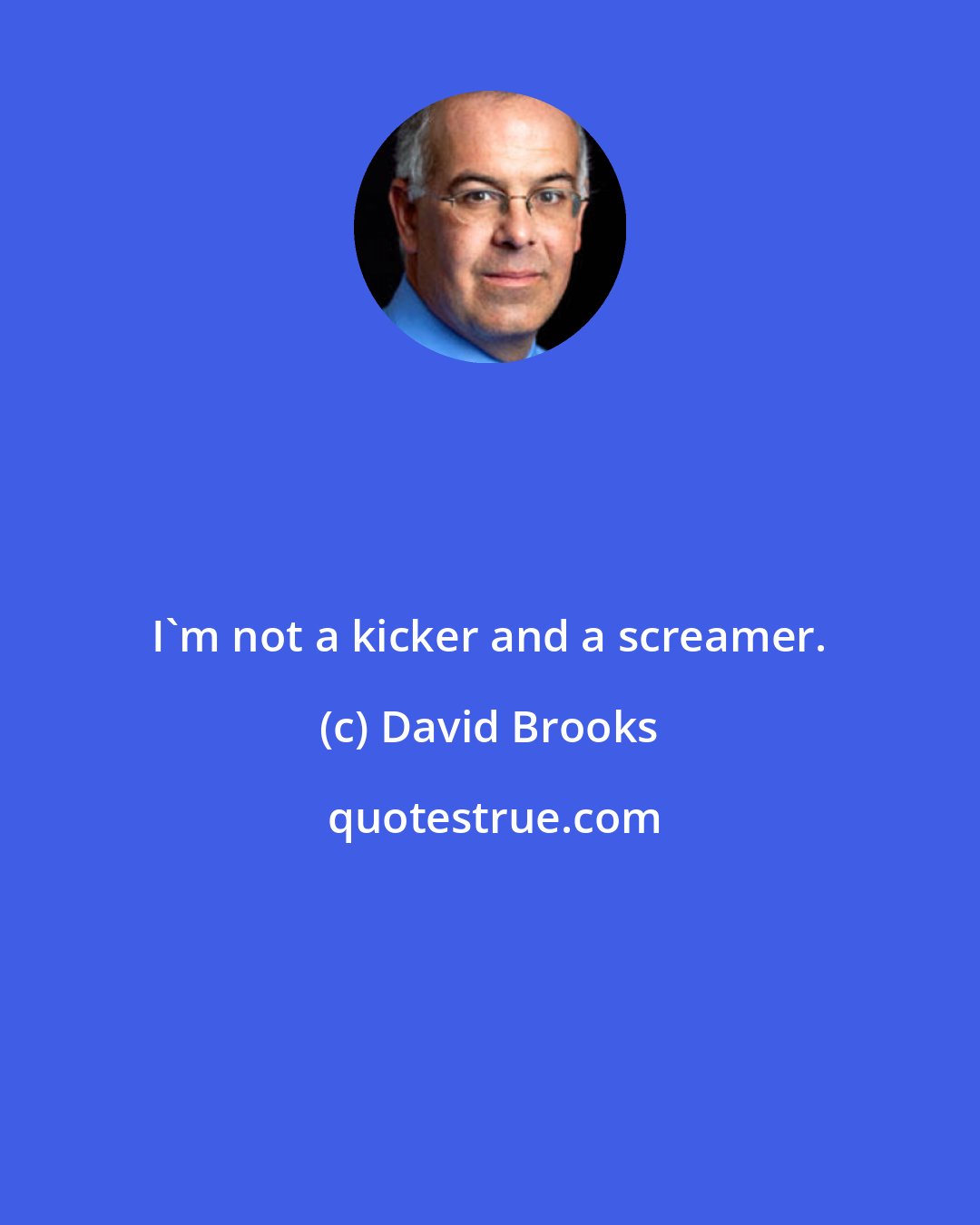 David Brooks: I'm not a kicker and a screamer.