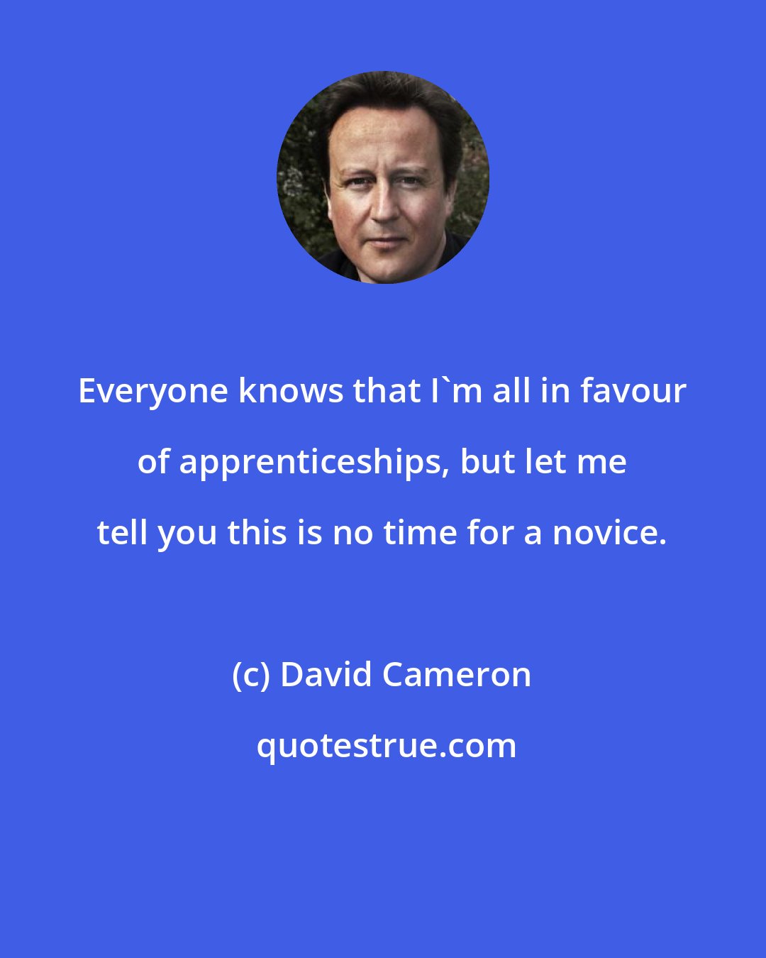 David Cameron: Everyone knows that I'm all in favour of apprenticeships, but let me tell you this is no time for a novice.