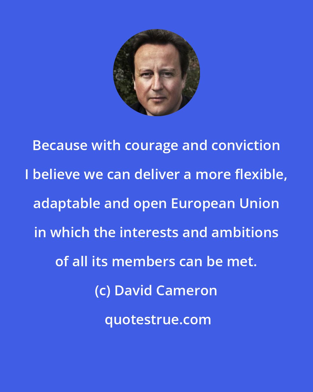 David Cameron: Because with courage and conviction I believe we can deliver a more flexible, adaptable and open European Union in which the interests and ambitions of all its members can be met.