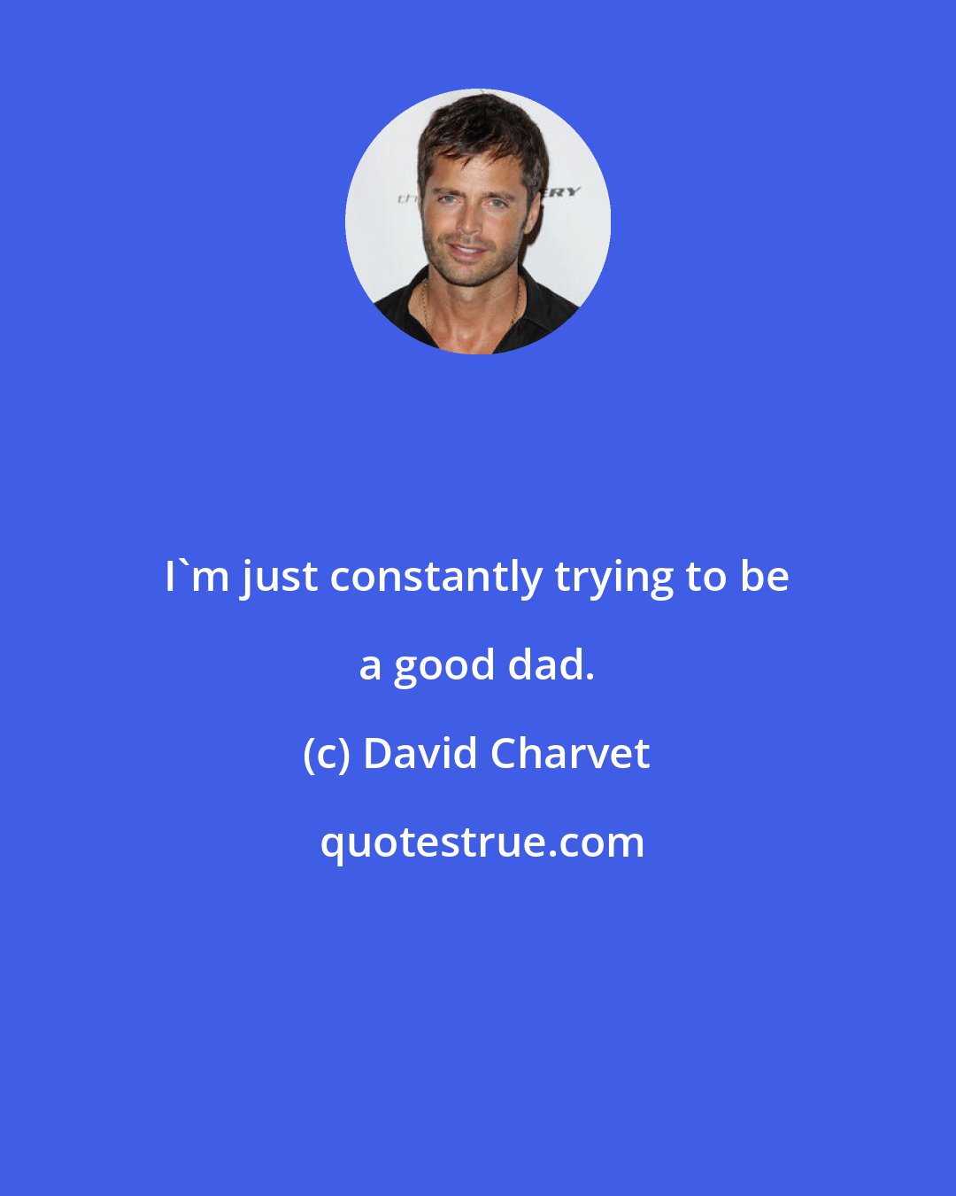 David Charvet: I'm just constantly trying to be a good dad.