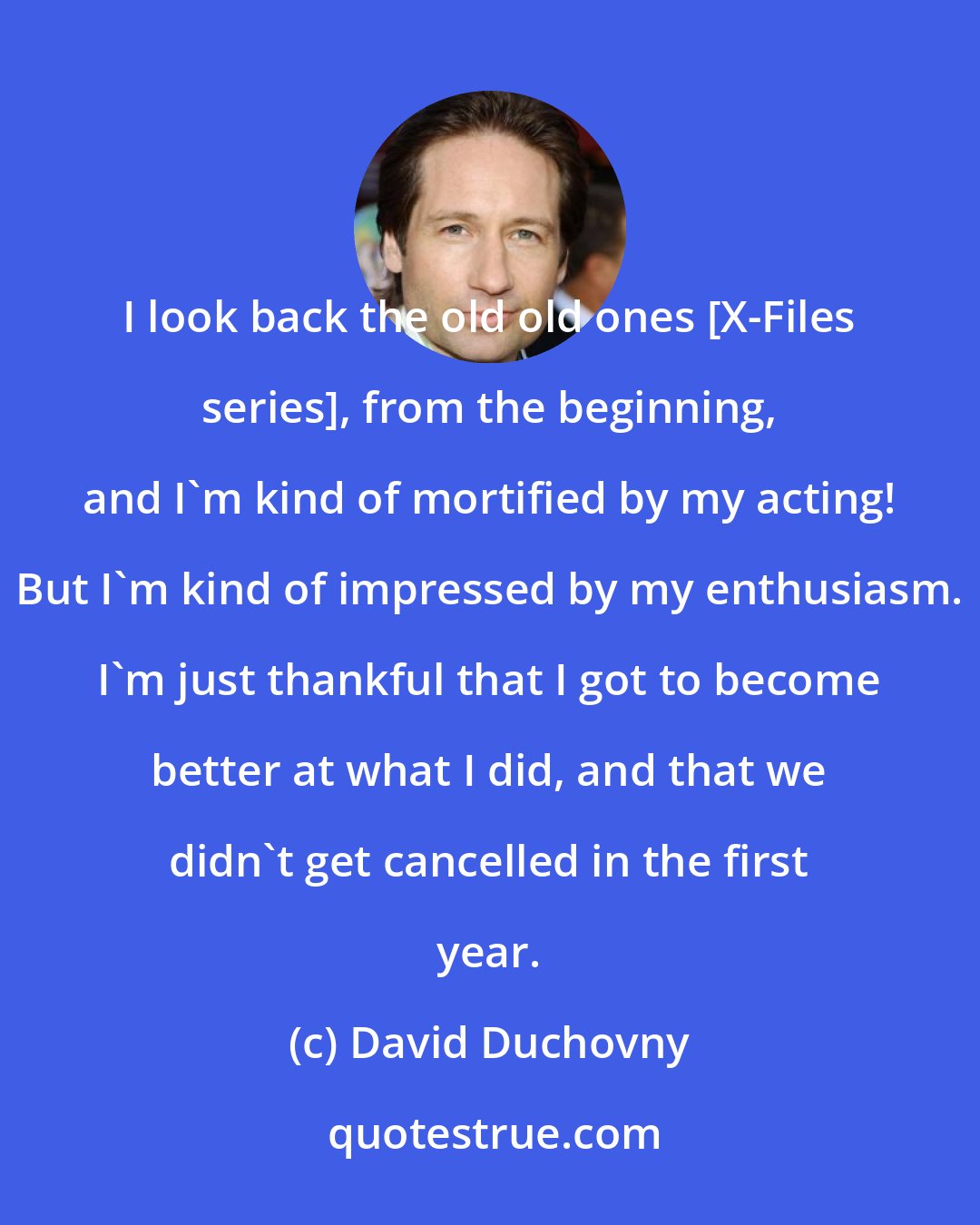 David Duchovny: I look back the old old ones [X-Files series], from the beginning, and I'm kind of mortified by my acting! But I'm kind of impressed by my enthusiasm. I'm just thankful that I got to become better at what I did, and that we didn't get cancelled in the first year.
