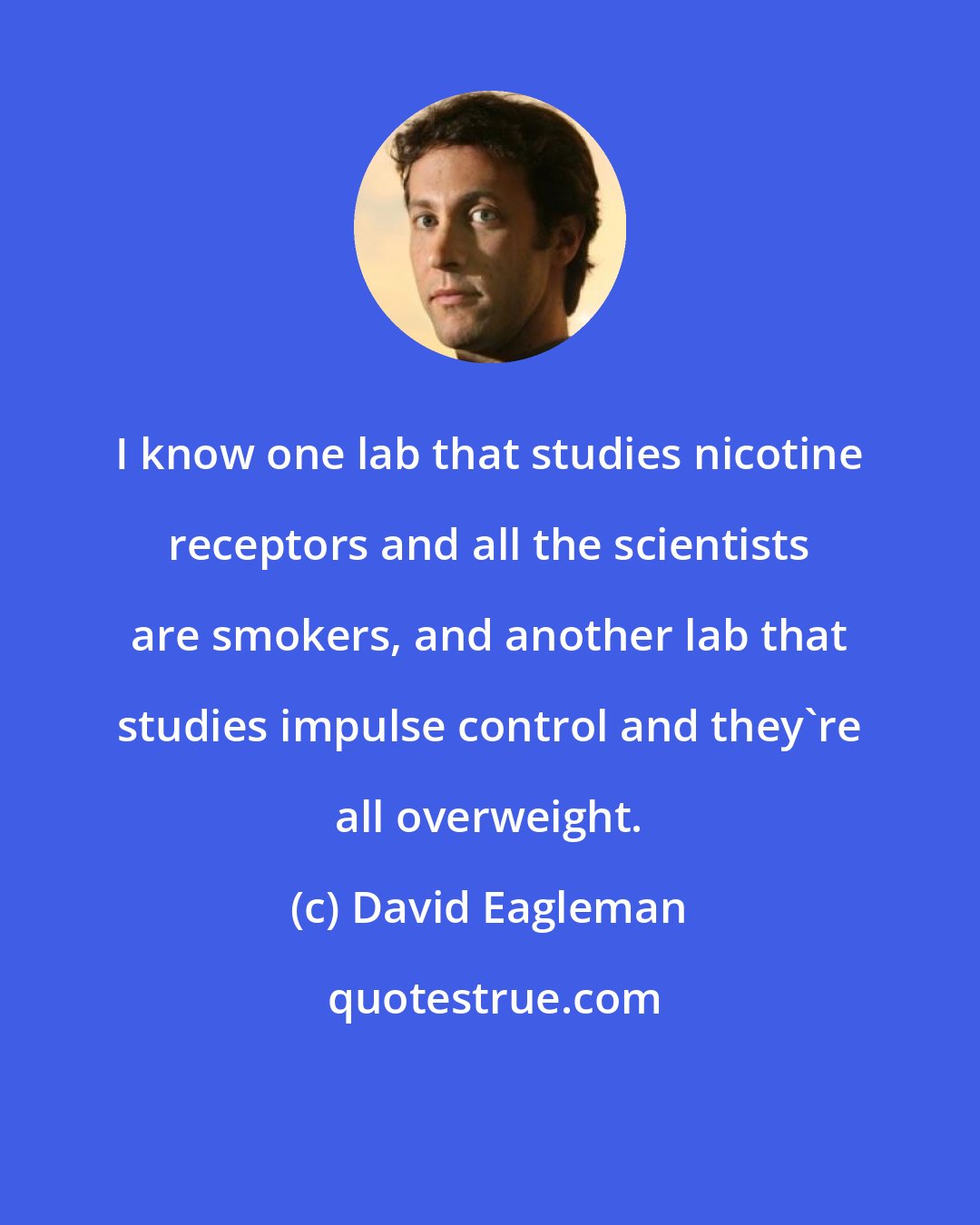 David Eagleman: I know one lab that studies nicotine receptors and all the scientists are smokers, and another lab that studies impulse control and they're all overweight.