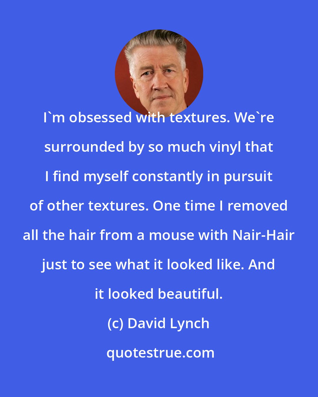 David Lynch: I'm obsessed with textures. We're surrounded by so much vinyl that I find myself constantly in pursuit of other textures. One time I removed all the hair from a mouse with Nair-Hair just to see what it looked like. And it looked beautiful.