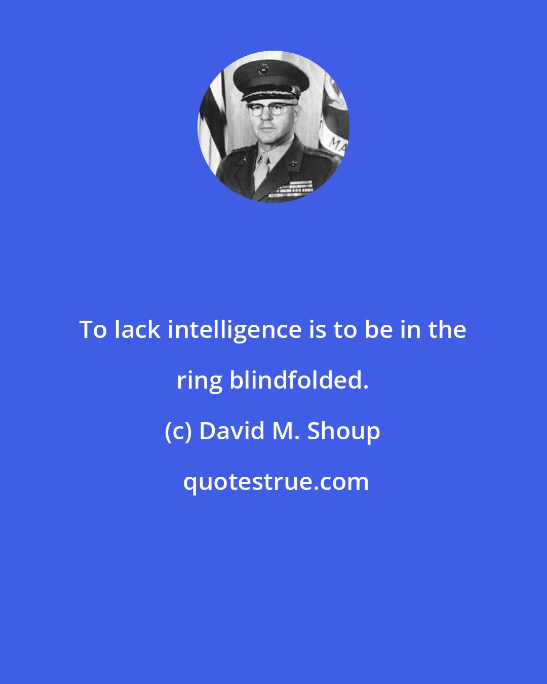 David M. Shoup: To lack intelligence is to be in the ring blindfolded.