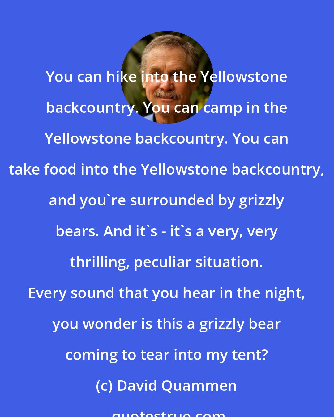David Quammen: You can hike into the Yellowstone backcountry. You can camp in the Yellowstone backcountry. You can take food into the Yellowstone backcountry, and you're surrounded by grizzly bears. And it's - it's a very, very thrilling, peculiar situation. Every sound that you hear in the night, you wonder is this a grizzly bear coming to tear into my tent?