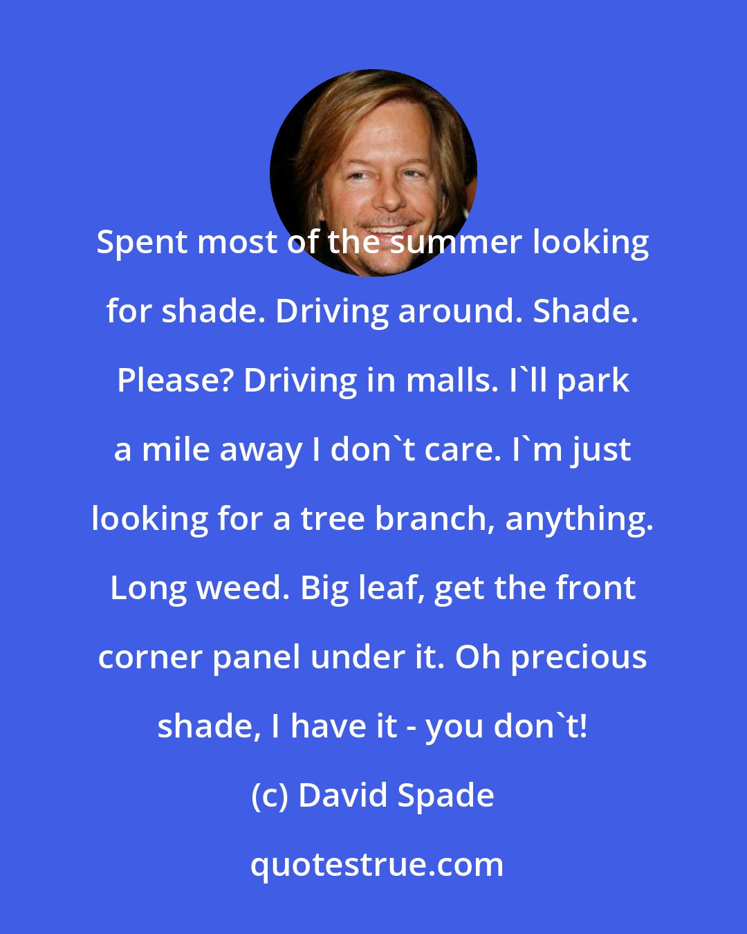 David Spade: Spent most of the summer looking for shade. Driving around. Shade. Please? Driving in malls. I'll park a mile away I don't care. I'm just looking for a tree branch, anything. Long weed. Big leaf, get the front corner panel under it. Oh precious shade, I have it - you don't!
