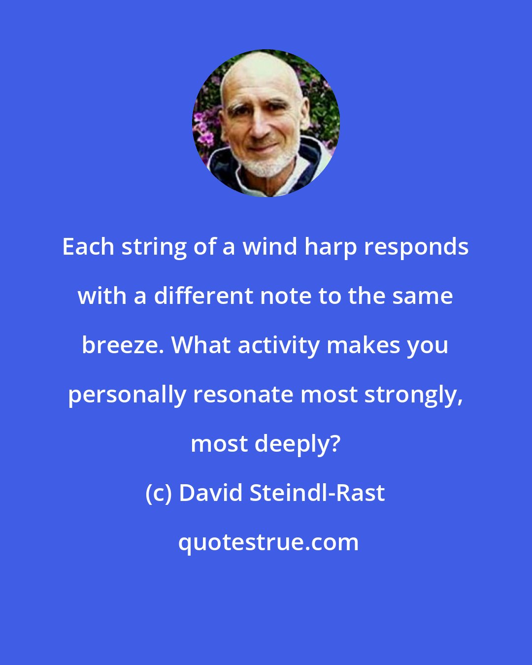 David Steindl-Rast: Each string of a wind harp responds with a different note to the same breeze. What activity makes you personally resonate most strongly, most deeply?