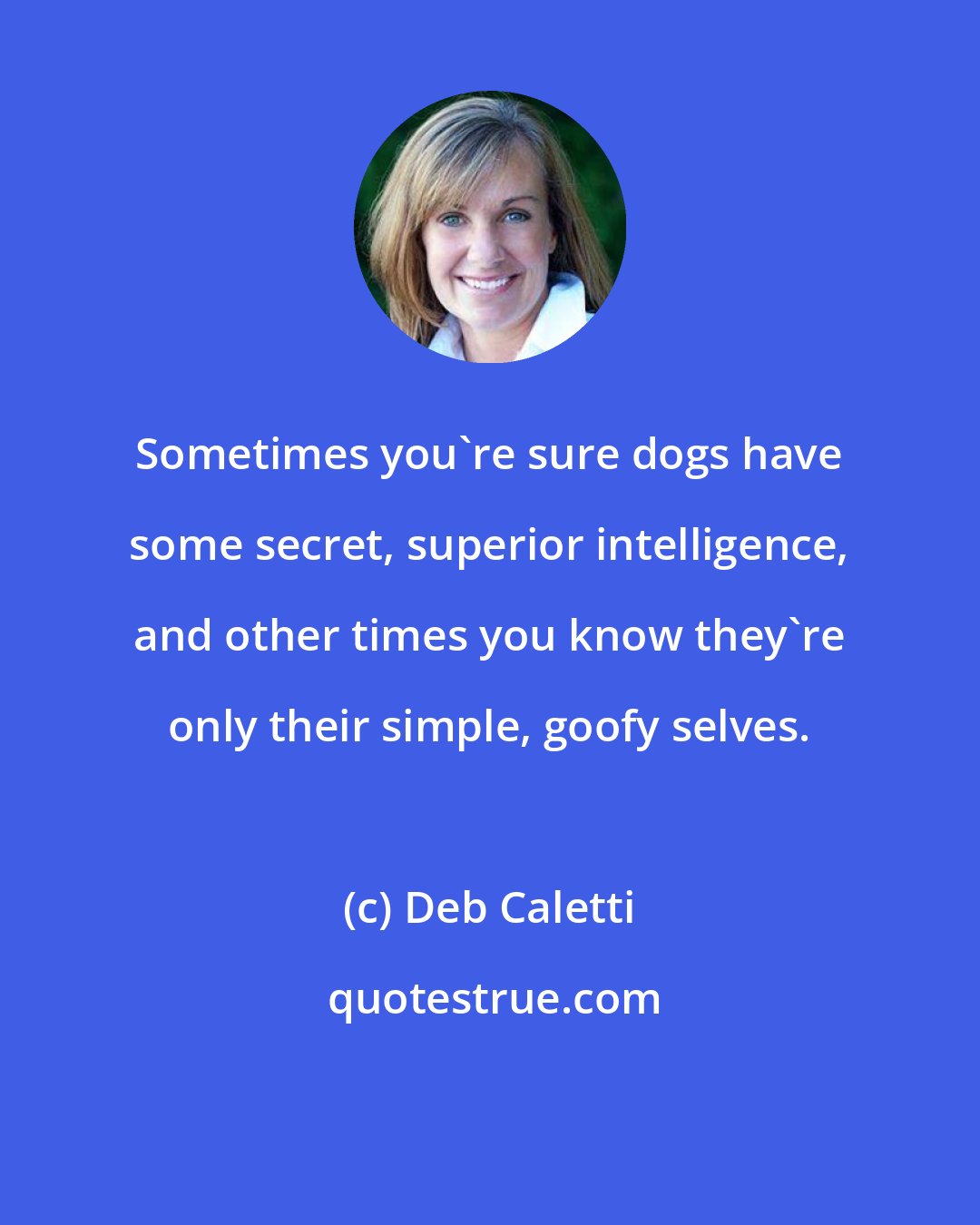 Deb Caletti: Sometimes you're sure dogs have some secret, superior intelligence, and other times you know they're only their simple, goofy selves.