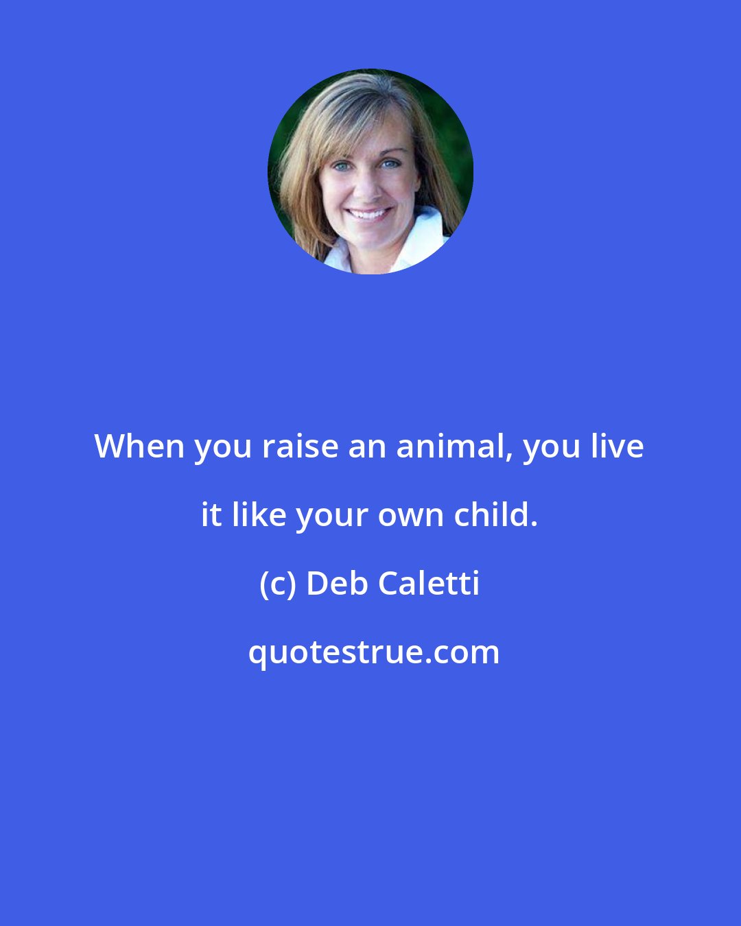 Deb Caletti: When you raise an animal, you live it like your own child.