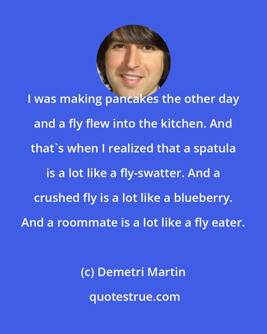 Demetri Martin: I was making pancakes the other day and a fly flew into the kitchen. And that's when I realized that a spatula is a lot like a fly-swatter. And a crushed fly is a lot like a blueberry. And a roommate is a lot like a fly eater.