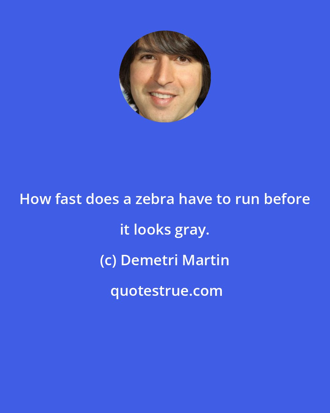 Demetri Martin: How fast does a zebra have to run before it looks gray.