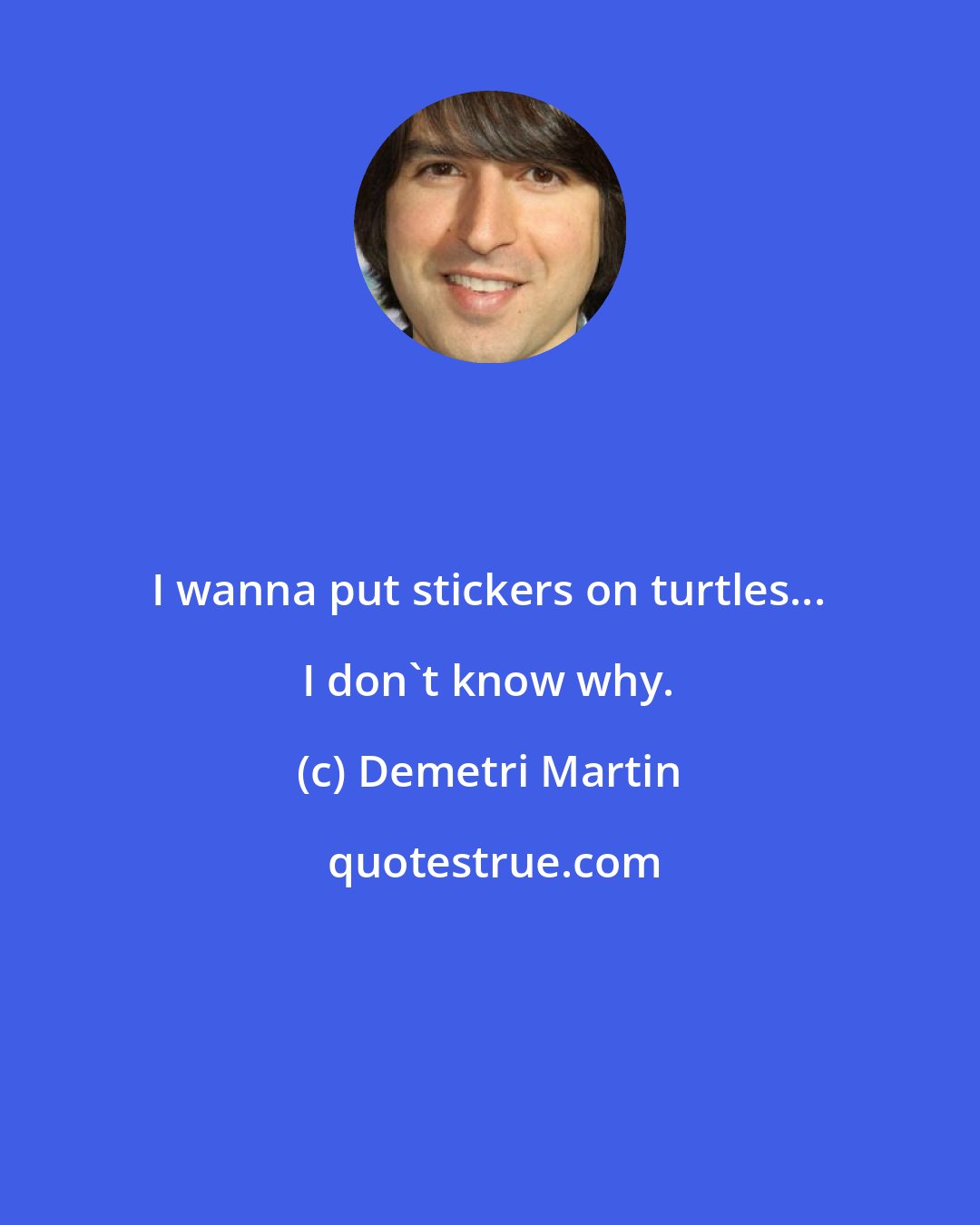 Demetri Martin: I wanna put stickers on turtles... I don't know why.