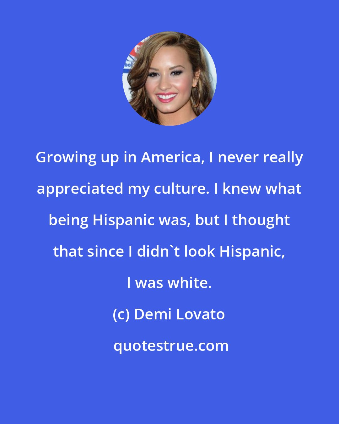 Demi Lovato: Growing up in America, I never really appreciated my culture. I knew what being Hispanic was, but I thought that since I didn't look Hispanic, I was white.
