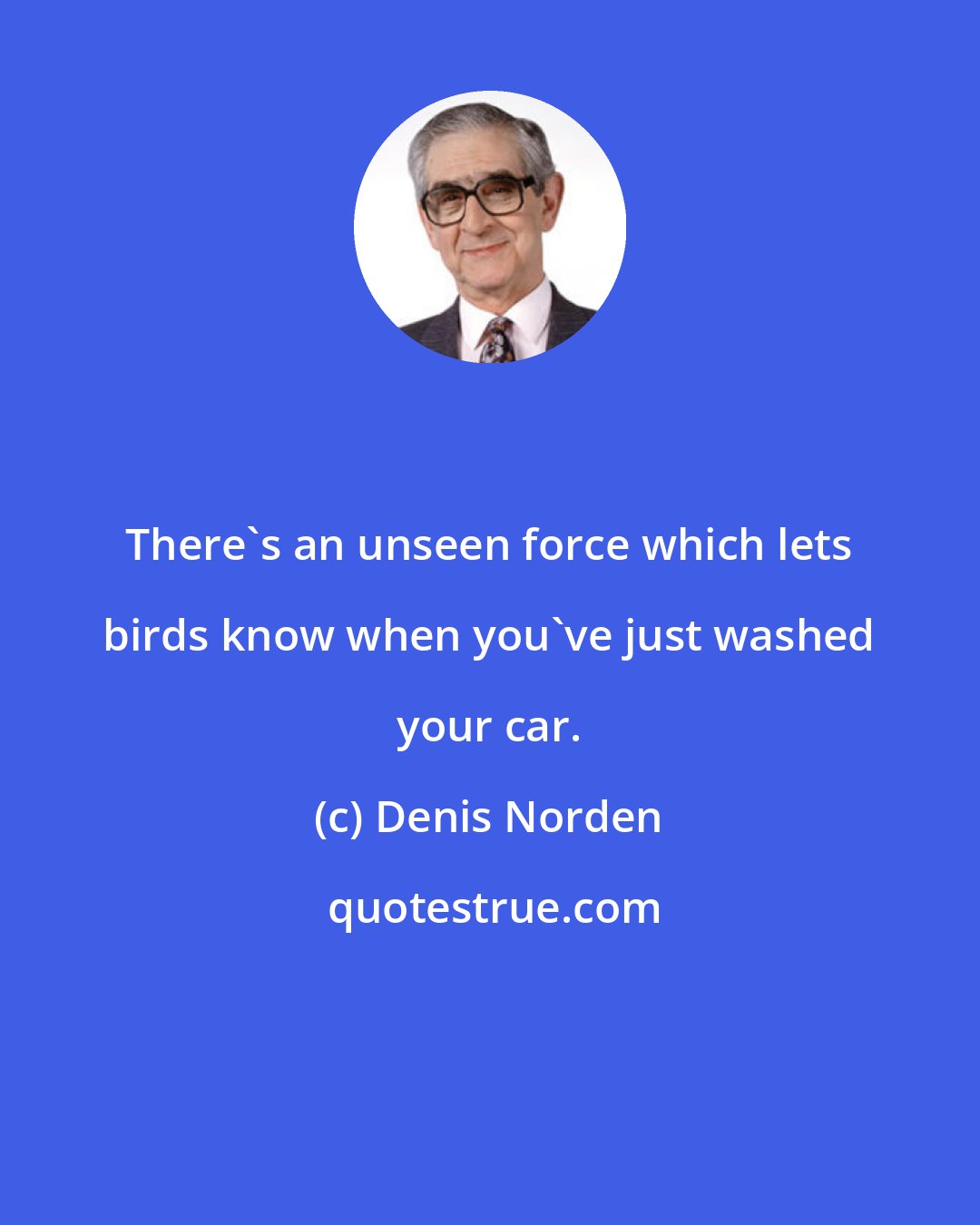 Denis Norden: There's an unseen force which lets birds know when you've just washed your car.