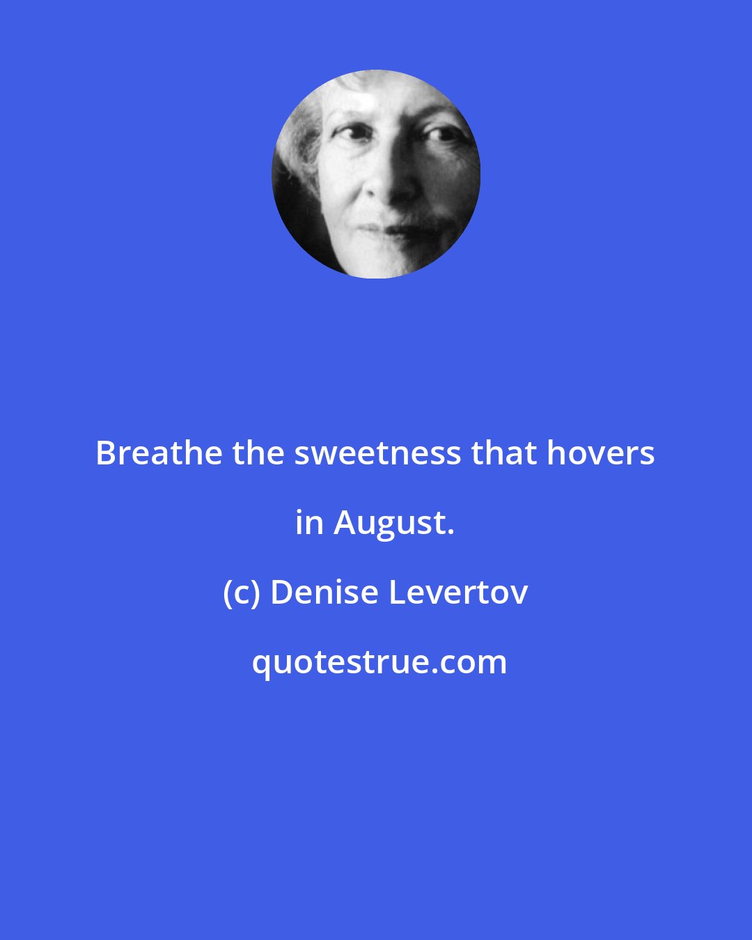 Denise Levertov: Breathe the sweetness that hovers in August.
