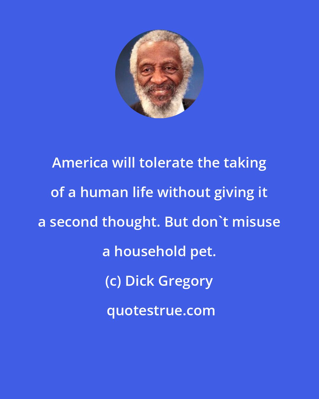 Dick Gregory: America will tolerate the taking of a human life without giving it a second thought. But don't misuse a household pet.