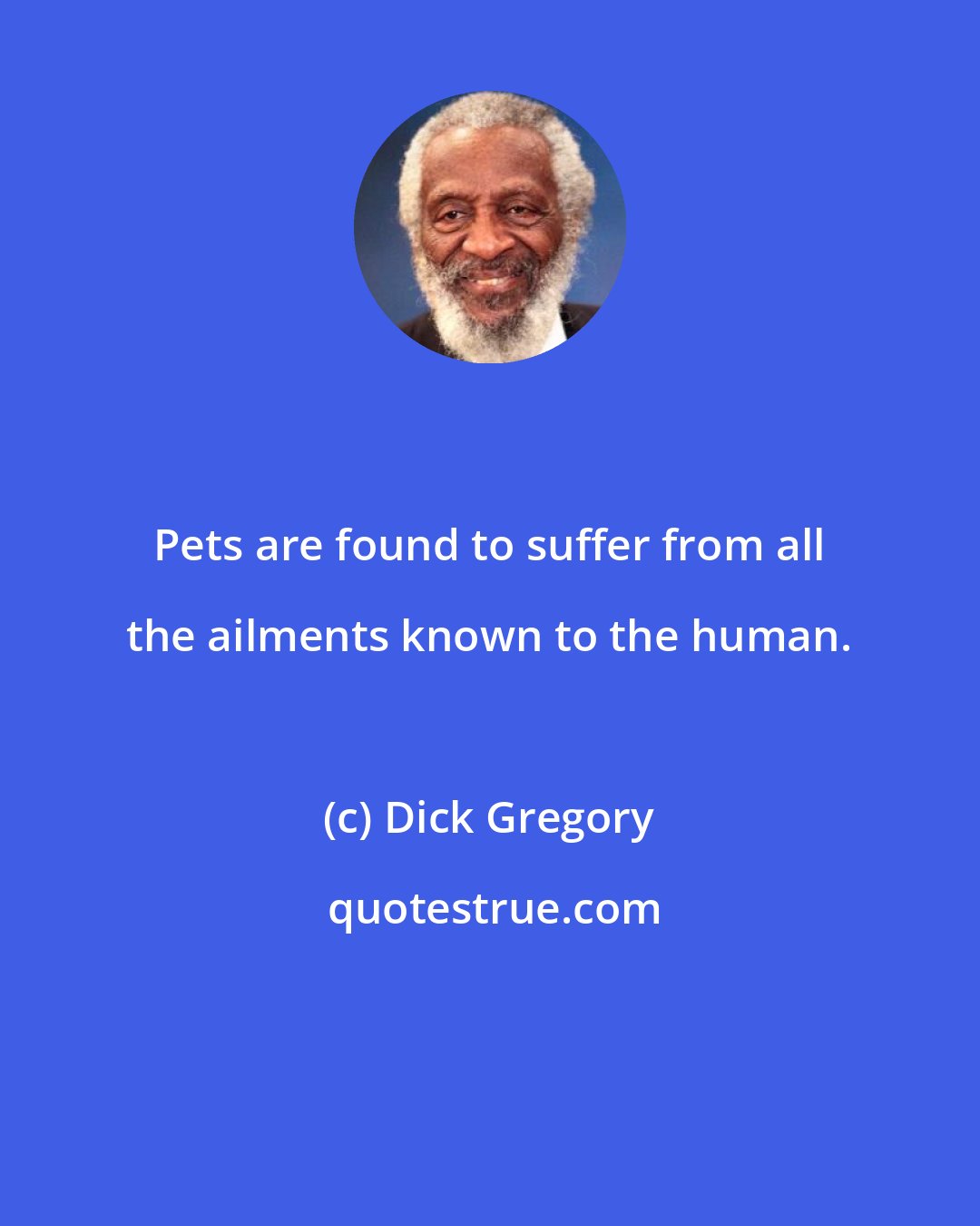 Dick Gregory: Pets are found to suffer from all the ailments known to the human.