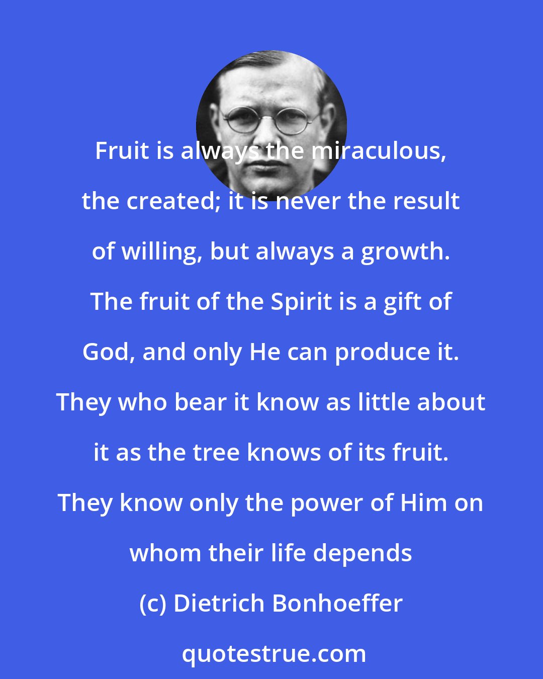 Dietrich Bonhoeffer: Fruit is always the miraculous, the created; it is never the result of willing, but always a growth. The fruit of the Spirit is a gift of God, and only He can produce it. They who bear it know as little about it as the tree knows of its fruit. They know only the power of Him on whom their life depends