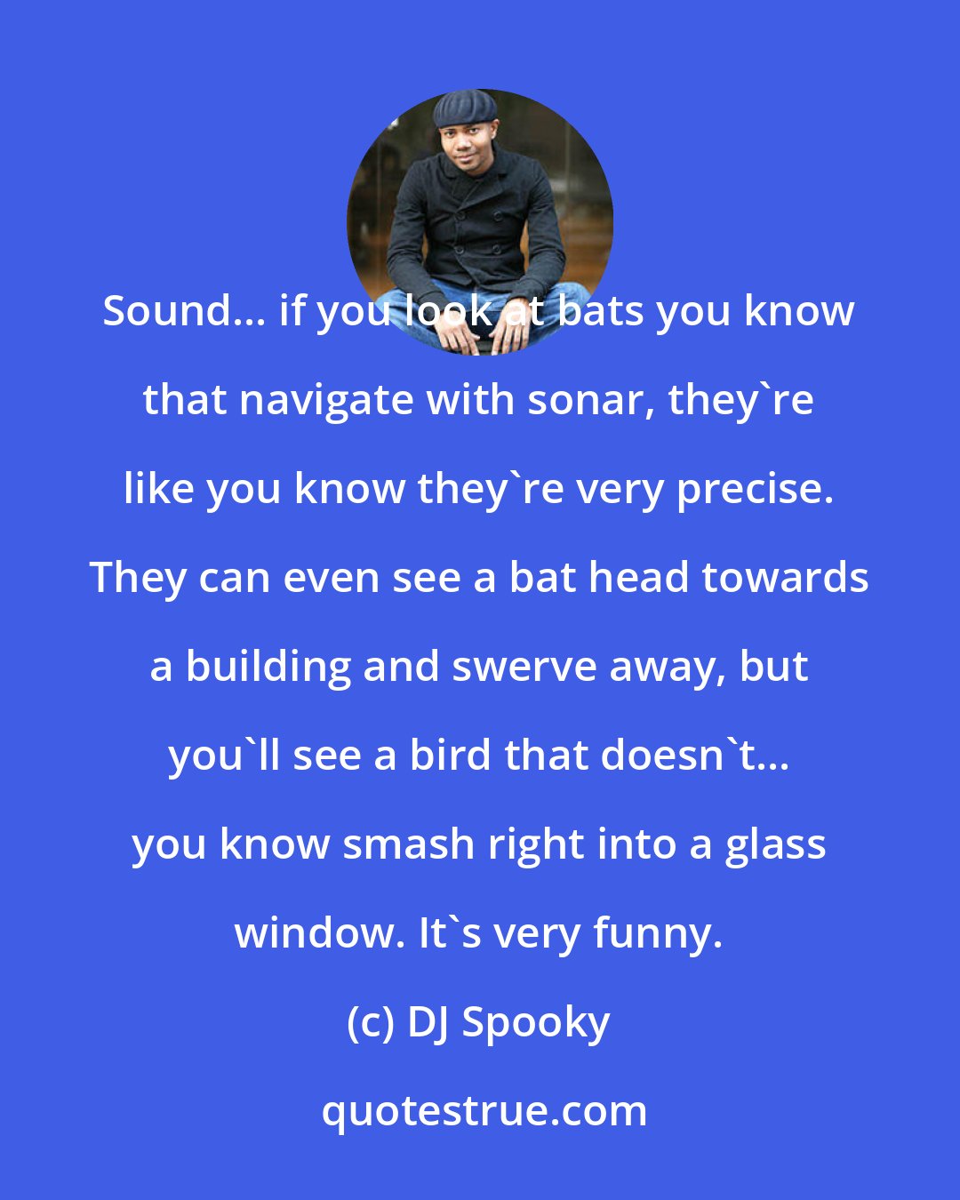 DJ Spooky: Sound... if you look at bats you know that navigate with sonar, they're like you know they're very precise. They can even see a bat head towards a building and swerve away, but you'll see a bird that doesn't... you know smash right into a glass window. It's very funny.