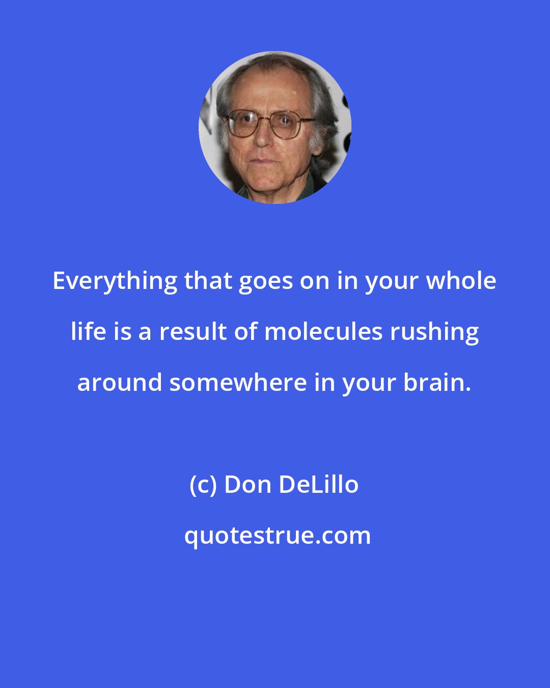 Don DeLillo: Everything that goes on in your whole life is a result of molecules rushing around somewhere in your brain.