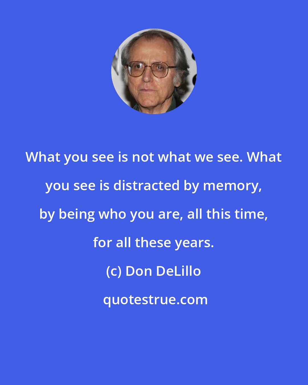 Don DeLillo: What you see is not what we see. What you see is distracted by memory, by being who you are, all this time, for all these years.