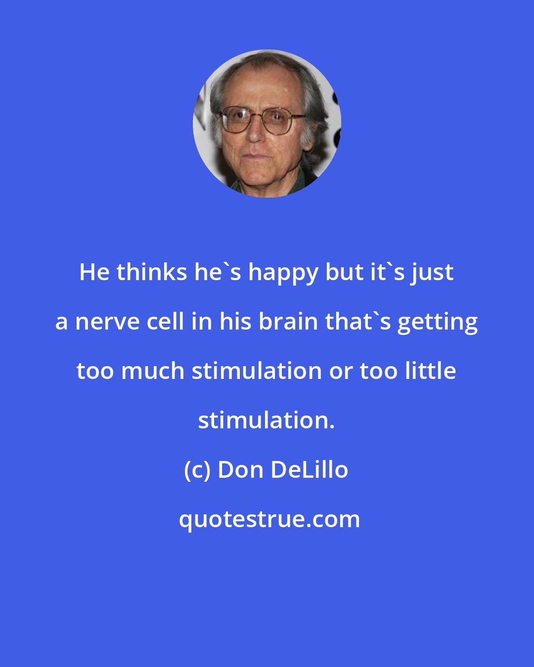 Don DeLillo: He thinks he's happy but it's just a nerve cell in his brain that's getting too much stimulation or too little stimulation.