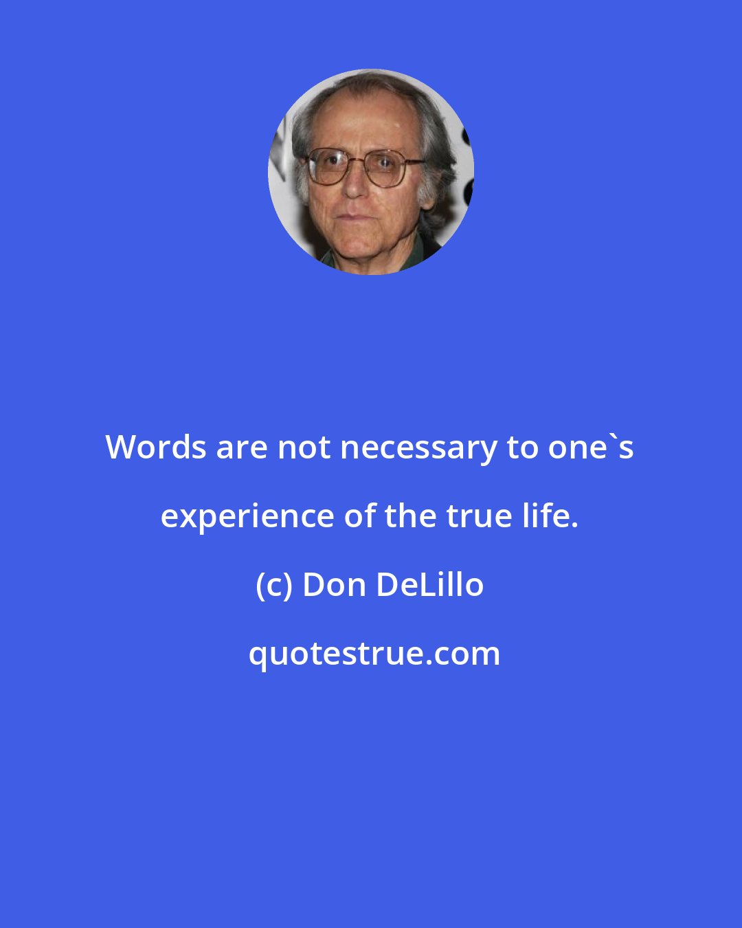 Don DeLillo: Words are not necessary to one's experience of the true life.