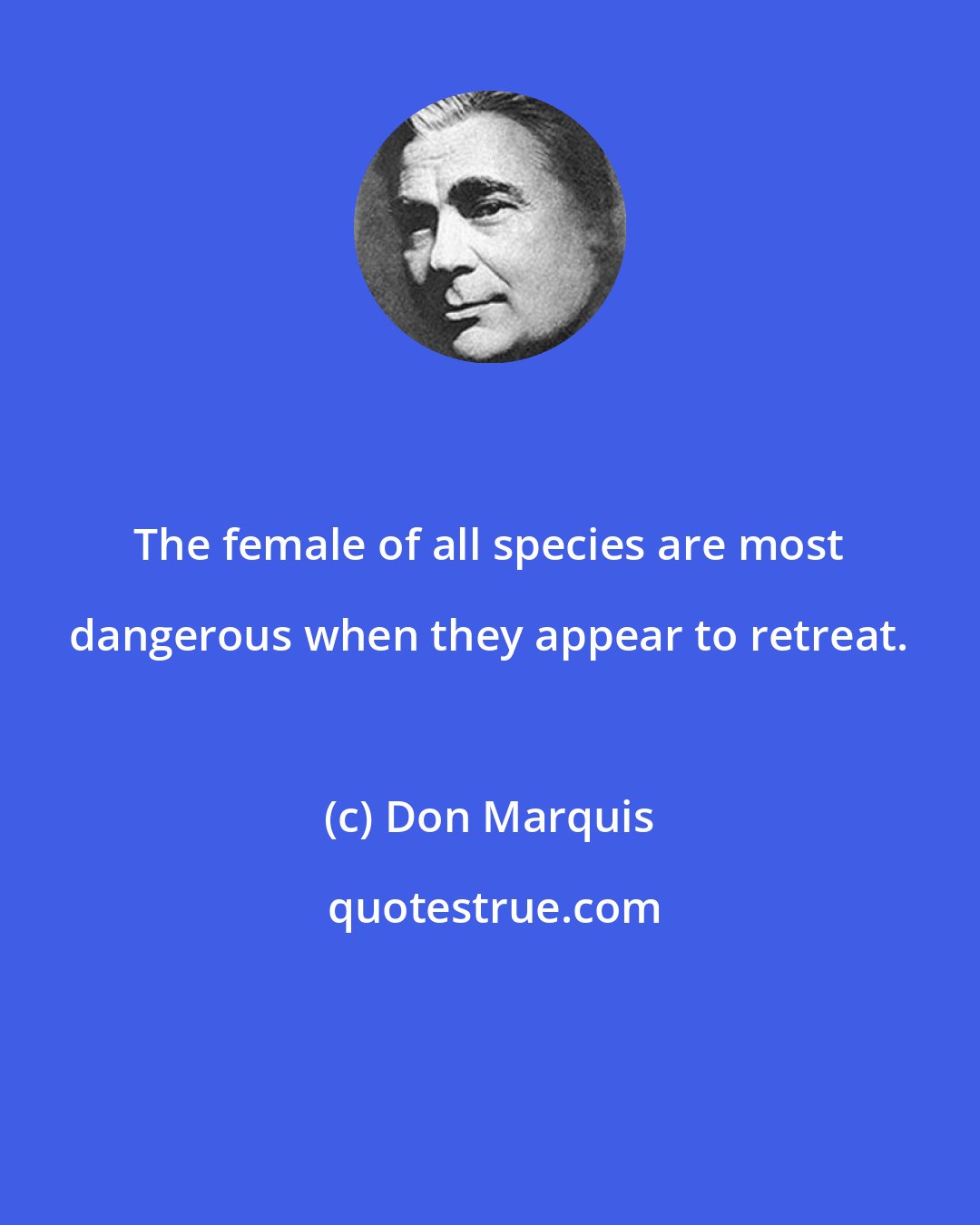 Don Marquis: The female of all species are most dangerous when they appear to retreat.