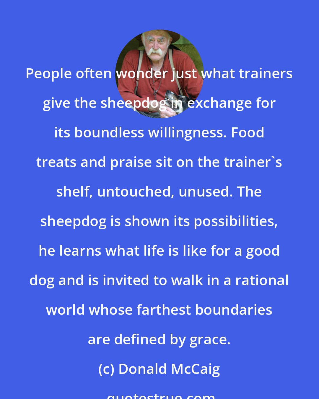 Donald McCaig: People often wonder just what trainers give the sheepdog in exchange for its boundless willingness. Food treats and praise sit on the trainer's shelf, untouched, unused. The sheepdog is shown its possibilities, he learns what life is like for a good dog and is invited to walk in a rational world whose farthest boundaries are defined by grace.