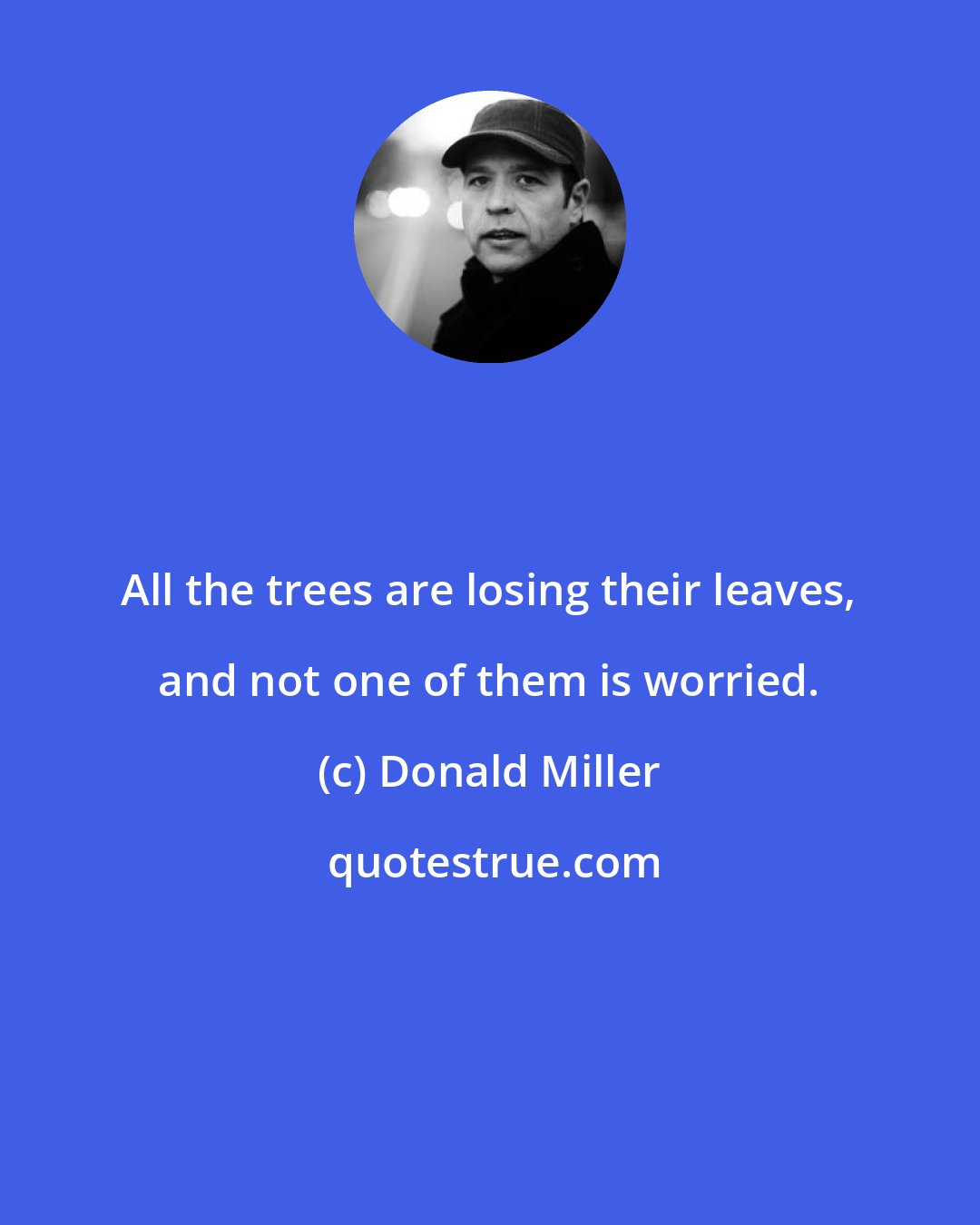 Donald Miller: All the trees are losing their leaves, and not one of them is worried.