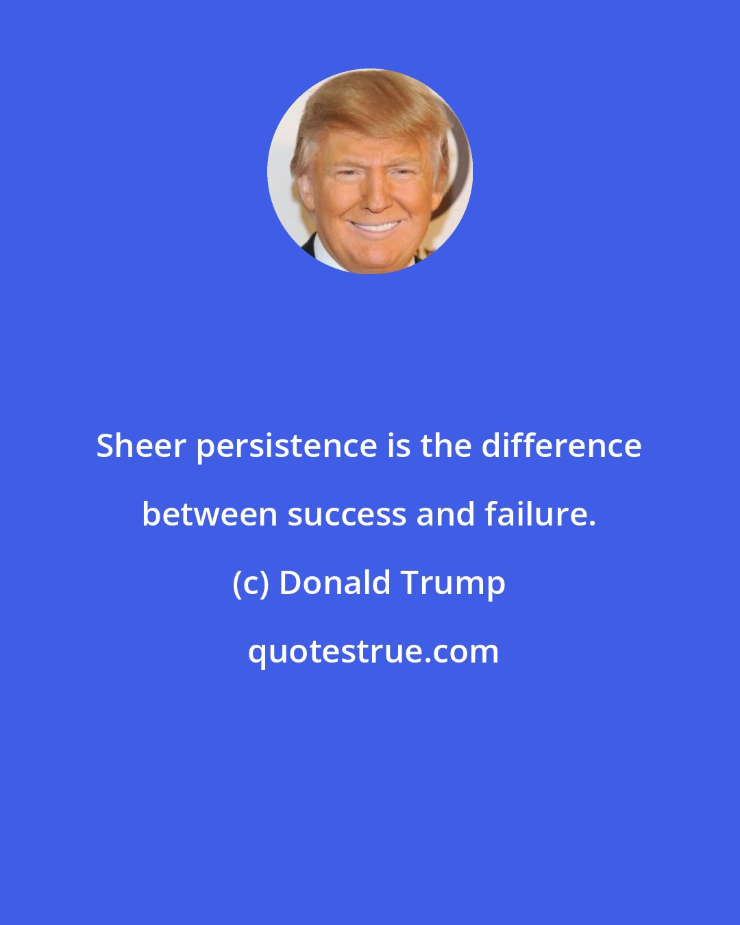 Donald Trump: Sheer persistence is the difference between success and failure.