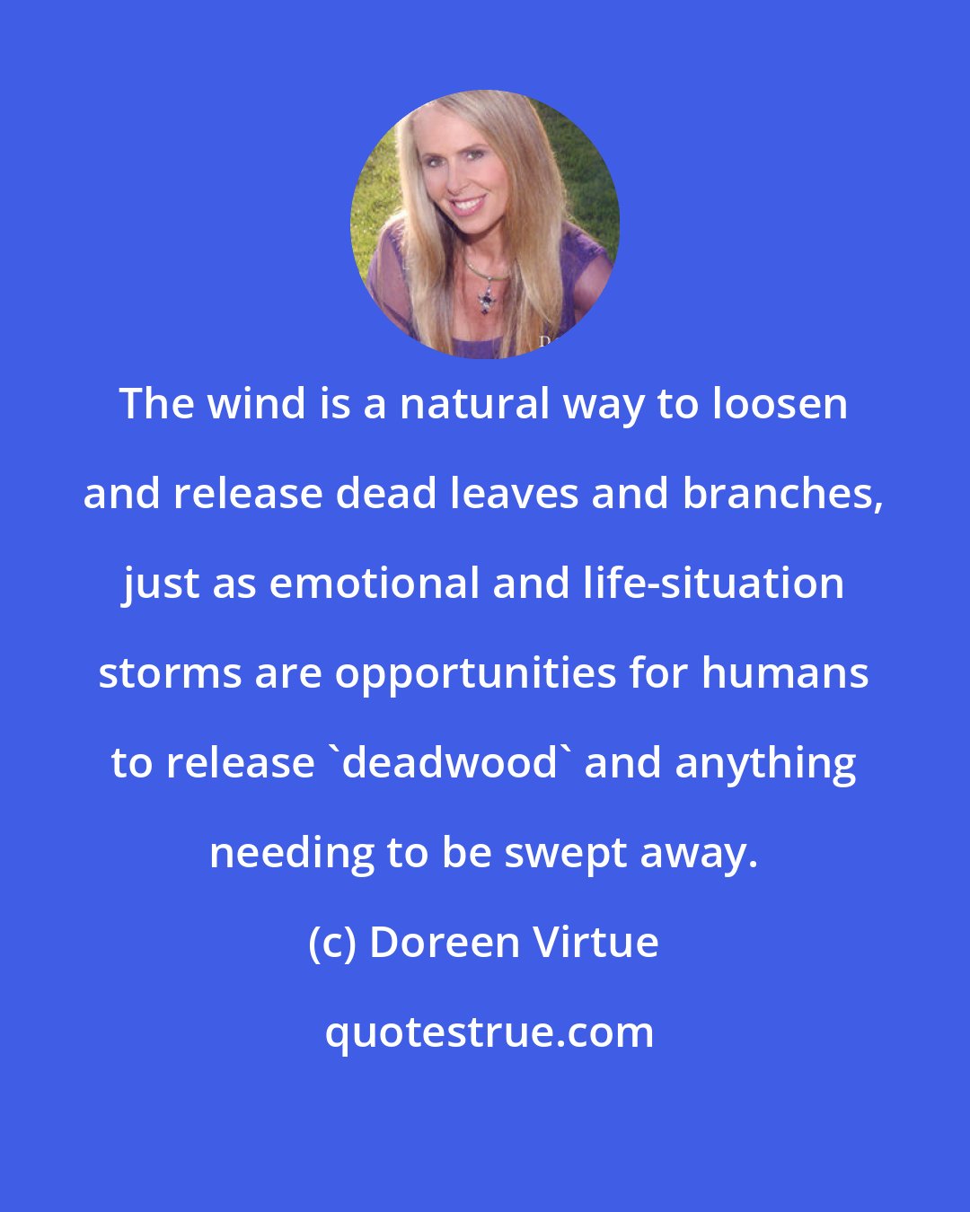 Doreen Virtue: The wind is a natural way to loosen and release dead leaves and branches, just as emotional and life-situation storms are opportunities for humans to release 'deadwood' and anything needing to be swept away.