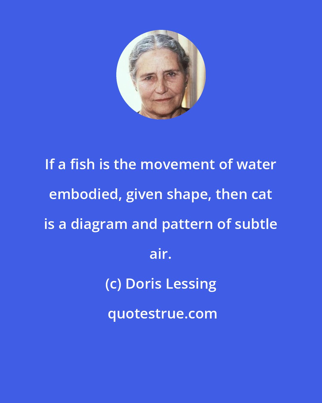 Doris Lessing: If a fish is the movement of water embodied, given shape, then cat is a diagram and pattern of subtle air.