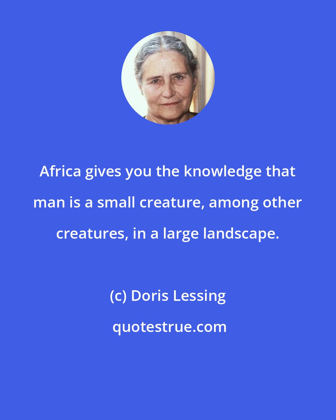 Doris Lessing: Africa gives you the knowledge that man is a small creature, among other creatures, in a large landscape.