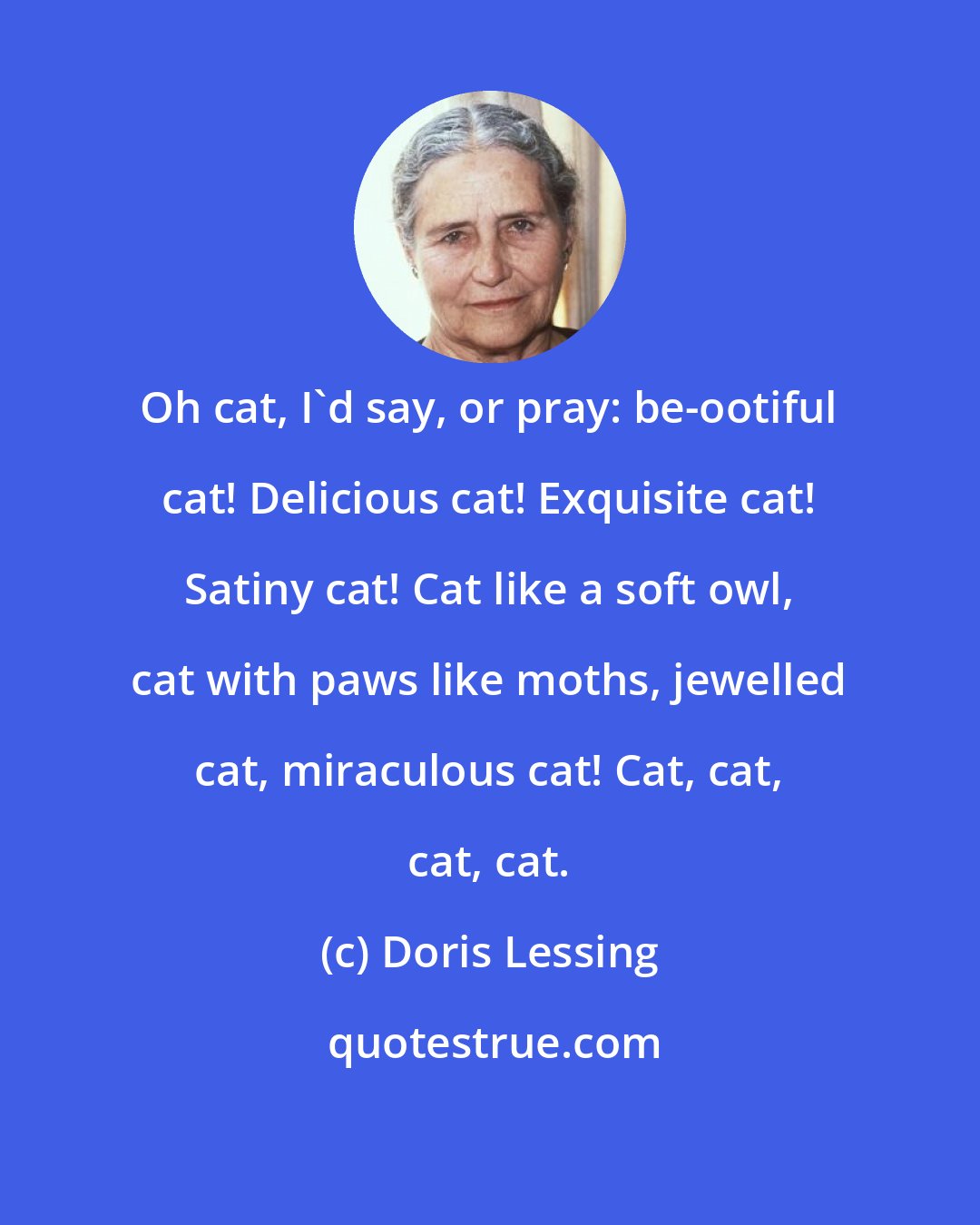 Doris Lessing: Oh cat, I'd say, or pray: be-ootiful cat! Delicious cat! Exquisite cat! Satiny cat! Cat like a soft owl, cat with paws like moths, jewelled cat, miraculous cat! Cat, cat, cat, cat.