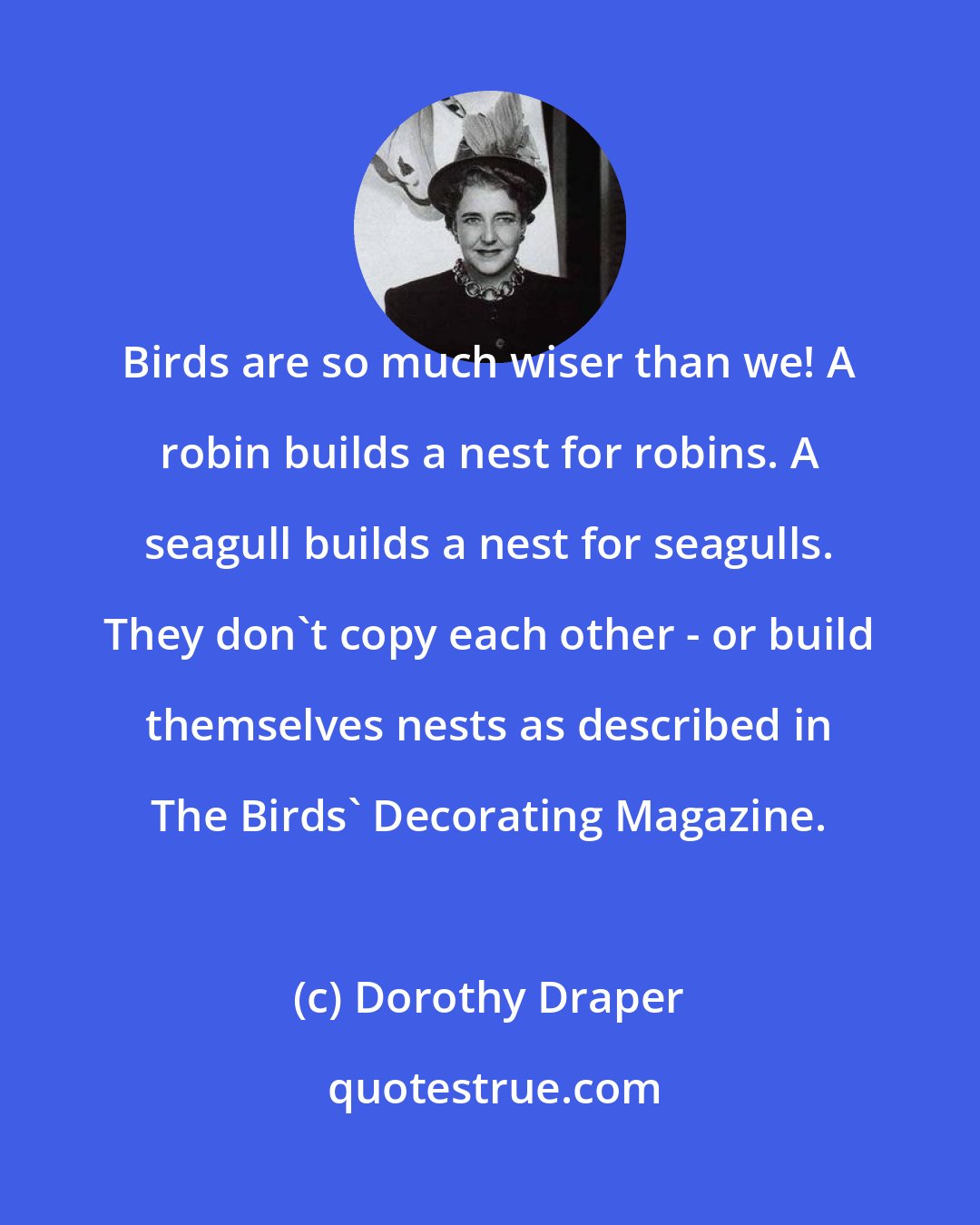 Dorothy Draper: Birds are so much wiser than we! A robin builds a nest for robins. A seagull builds a nest for seagulls. They don't copy each other - or build themselves nests as described in The Birds' Decorating Magazine.