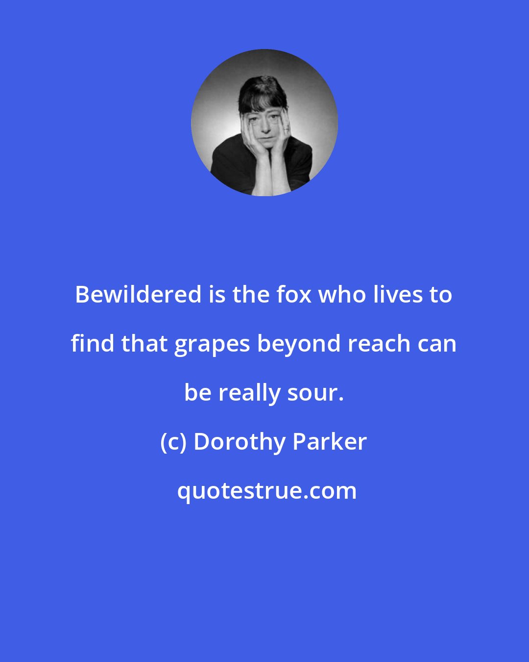 Dorothy Parker: Bewildered is the fox who lives to find that grapes beyond reach can be really sour.