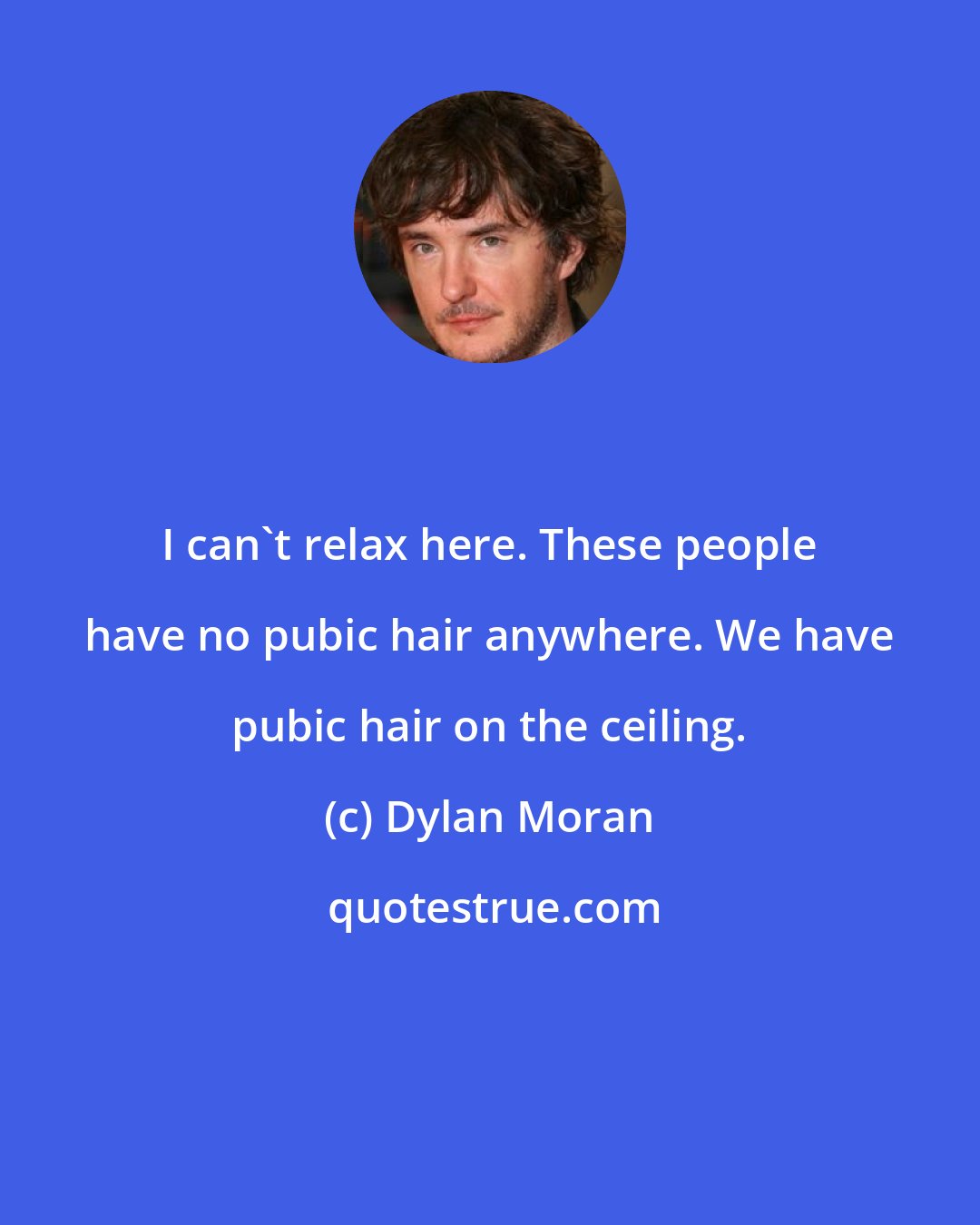 Dylan Moran: I can't relax here. These people have no pubic hair anywhere. We have pubic hair on the ceiling.