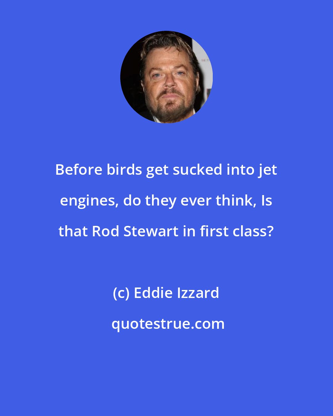 Eddie Izzard: Before birds get sucked into jet engines, do they ever think, Is that Rod Stewart in first class?