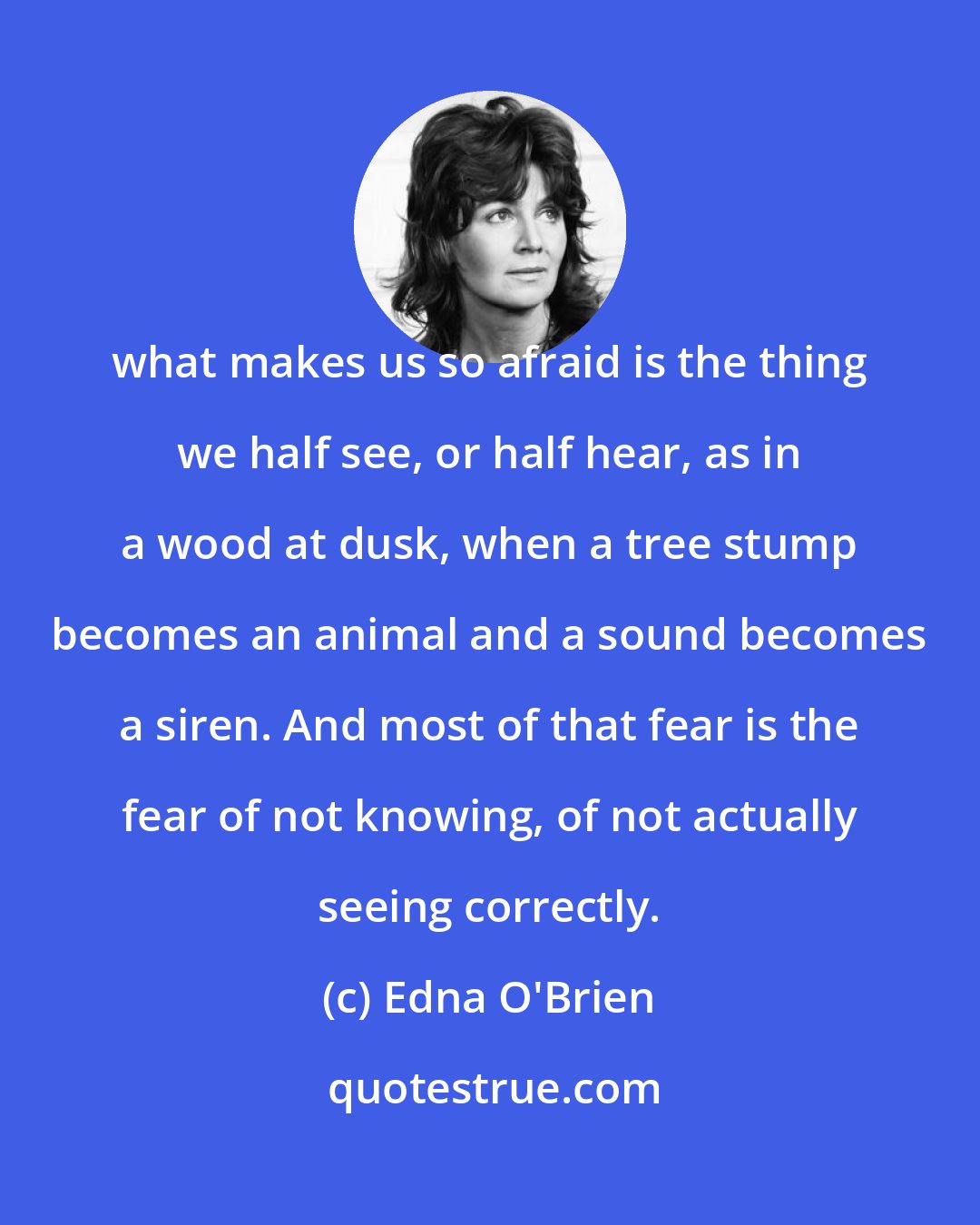 Edna O'Brien: what makes us so afraid is the thing we half see, or half hear, as in a wood at dusk, when a tree stump becomes an animal and a sound becomes a siren. And most of that fear is the fear of not knowing, of not actually seeing correctly.